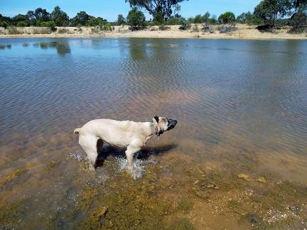 Girl cooling off
