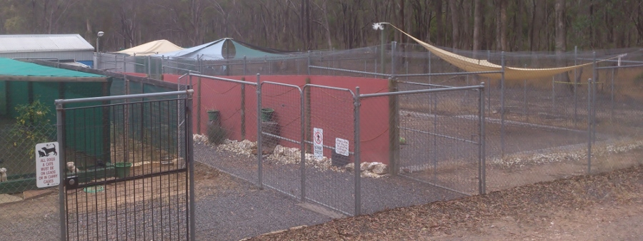 Some of the kennels